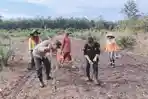 Dukung Program Ketahanan Pangan, Polsek Gelumbang Muara Enim Tanam Jagung Bersama Masyarakat