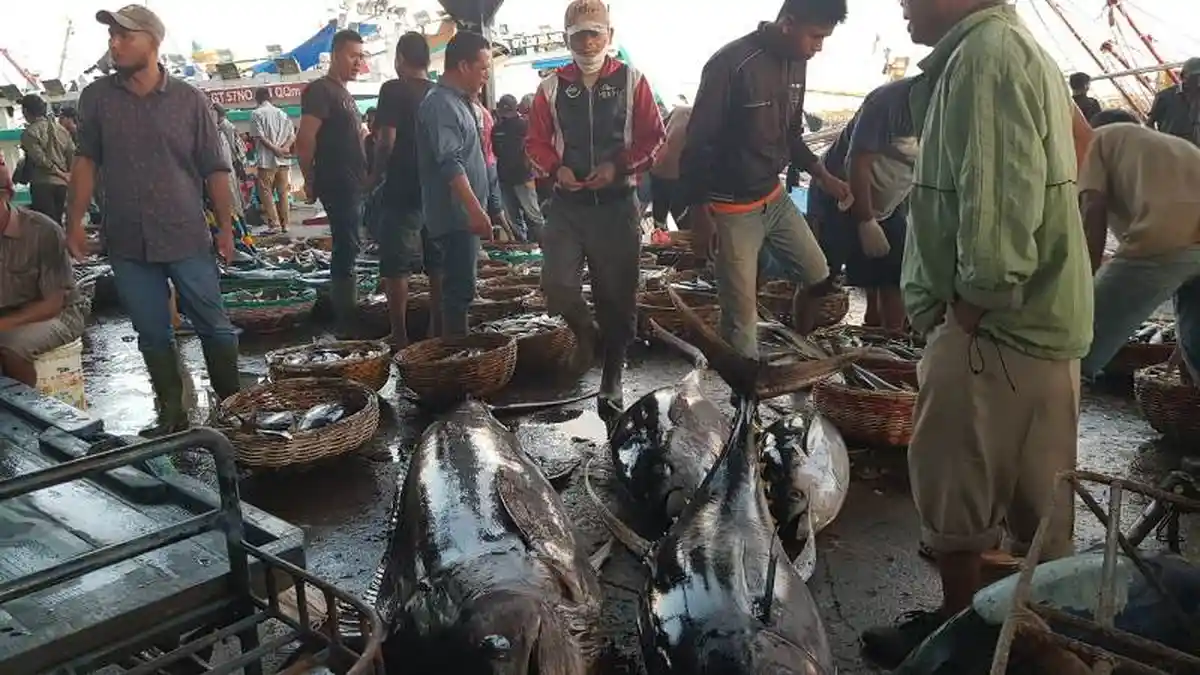 Harga Ikan di PPS Kutaradja Lampulo Masih Normal, Lelang Cepat Sepi, Ini Harga Lelang dan Eceran