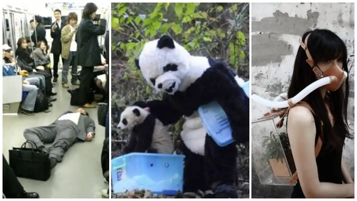 14 Hal Aneh ini Hanya Terjadi di Jepang, Orang Asing Pasti Terheran-heran!