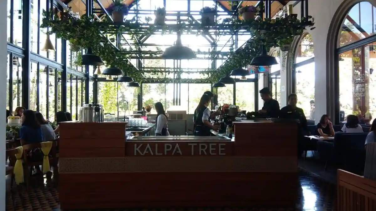 Ternyata Ini Asal Usul dan Filosofi Kalpa Tree, Kafe Baru di Kawasan Ciumbuleuit Bandung