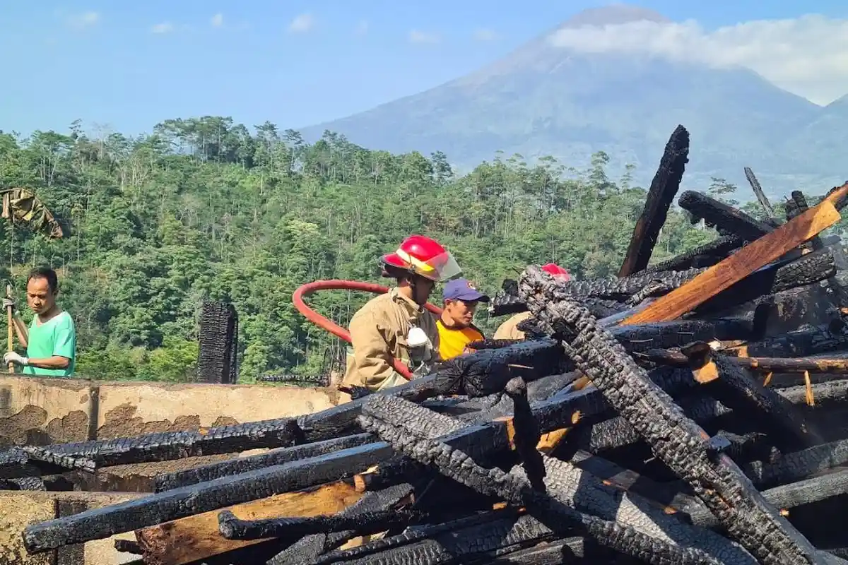 Rumah Warga di Wonosobo Hangus Terbakar, 6 Ekor Kambing Ikut Mati Terpanggang 