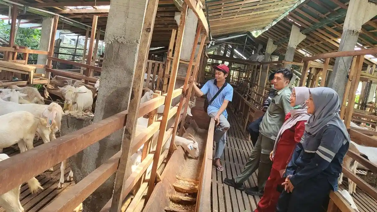 Dispertan PP Karanganyar Imbau Peternak Segera Lapor Bila Temukan Hewan Bergejala PMK