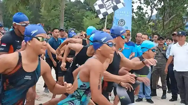 Tribun