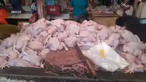 pedagang-di-Pasar-Bersehati-Manado-SulaGHFGHF.jpg