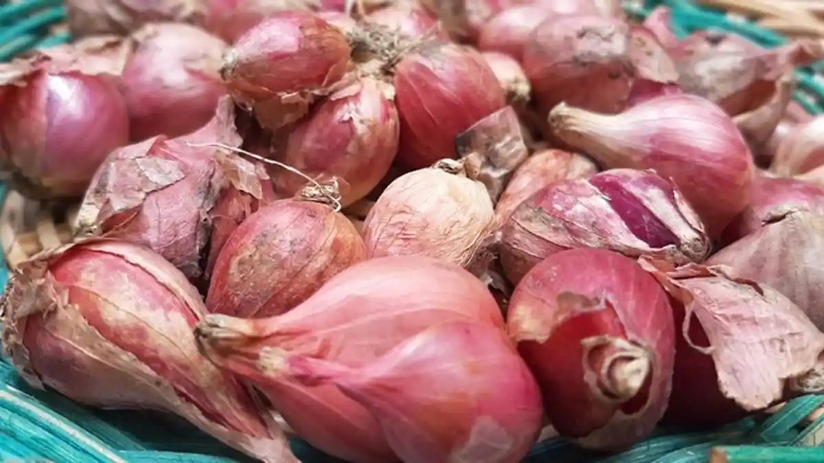 Sepekan Jelang Lebaran, Harga Telur, Daging Sapi hingga Bawang Merah Mengalami Kenaikan