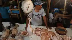 pedagang-daging-ayam_20150701_134315.jpg