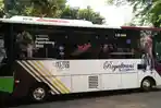 Royaltrans.jpg