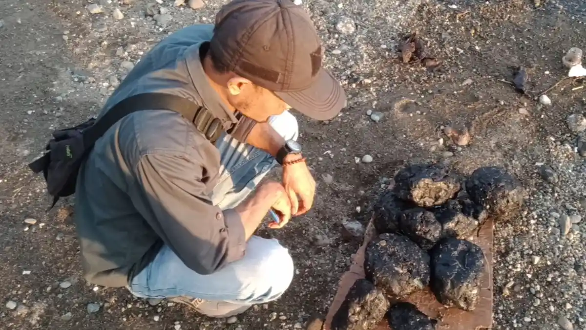 Limbah Hitam juga Ditemukan di Pantai Kota Agung Lampung