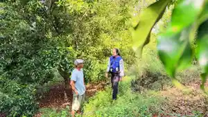 Petani-menjadi-salah-satu-penerima-manfaat-KUR-BRI.jpg