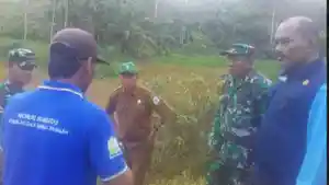 sawah-87yuh.jpg