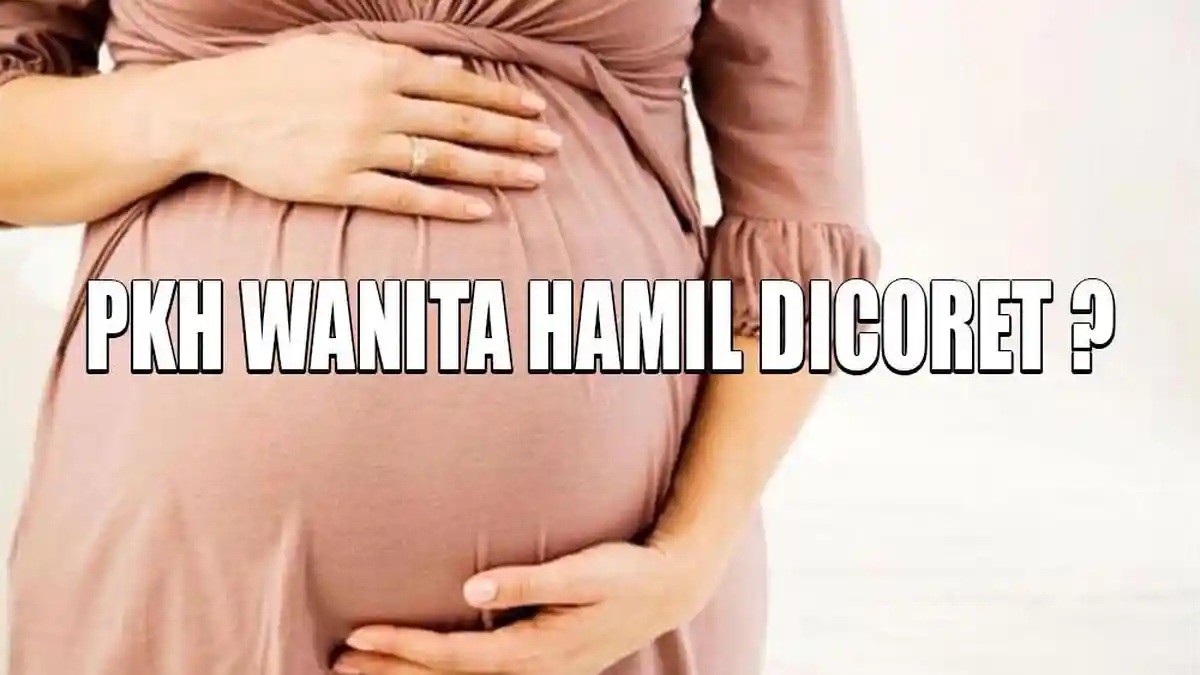 Lagi Hamil & Tak Punya Rumah, Bantuan PKH Disetop, Warga Banyumas: yang Punya Sawah Malah Dapat