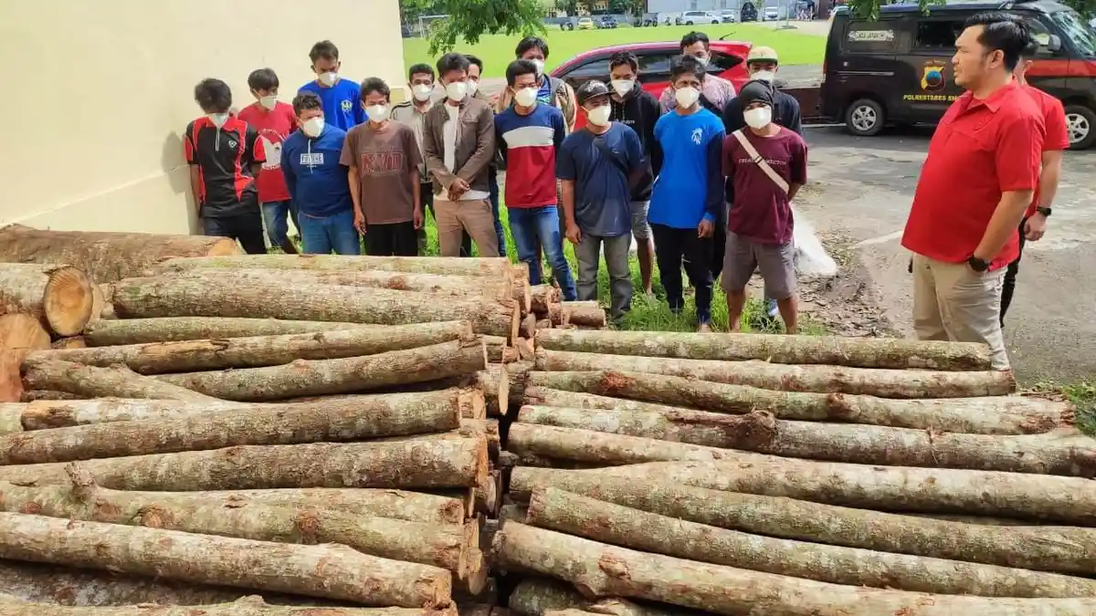 Polisi Buru Otak Komplotan Pembalak Liar Tebangi Pohon di Sabuk Hijau Waduk Jatibarang Semarang