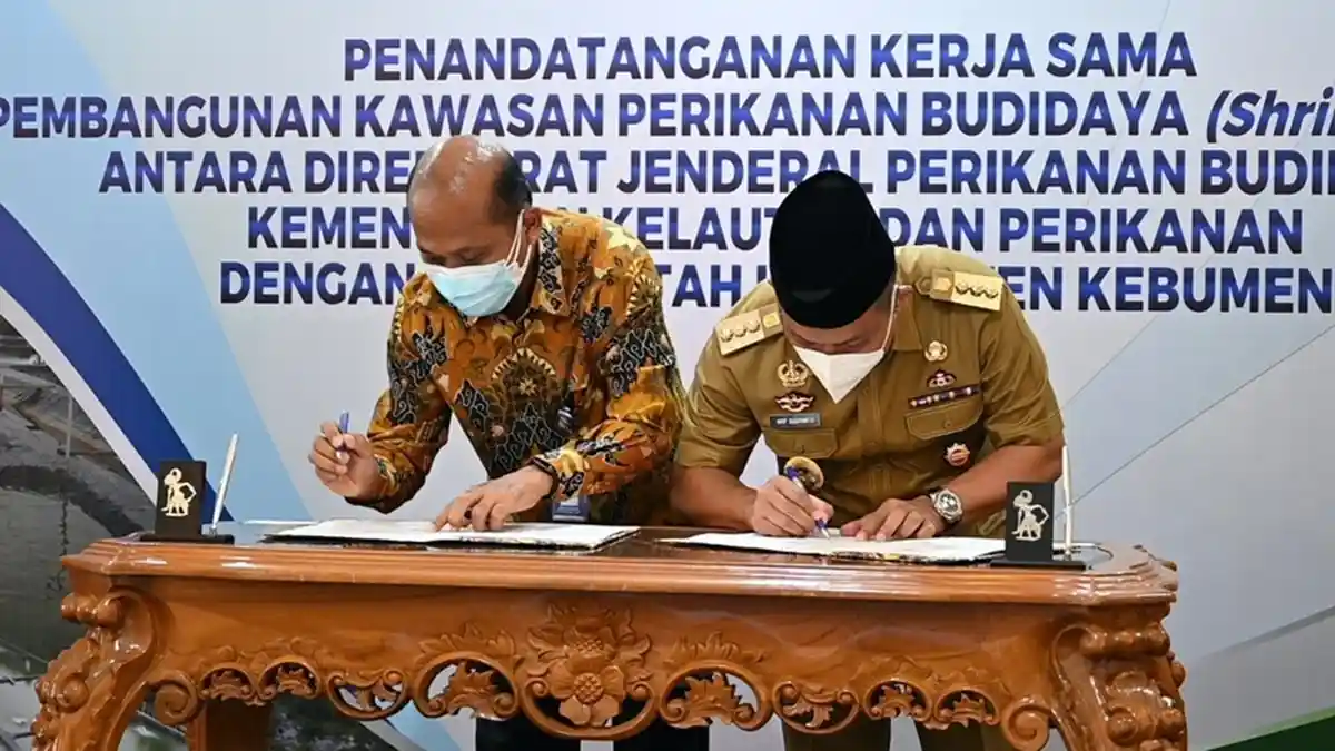 Jadi Pertama di Indonesia, Industri Perikanan Berbasis Shrimp Estate Dibangun di Kebumen
