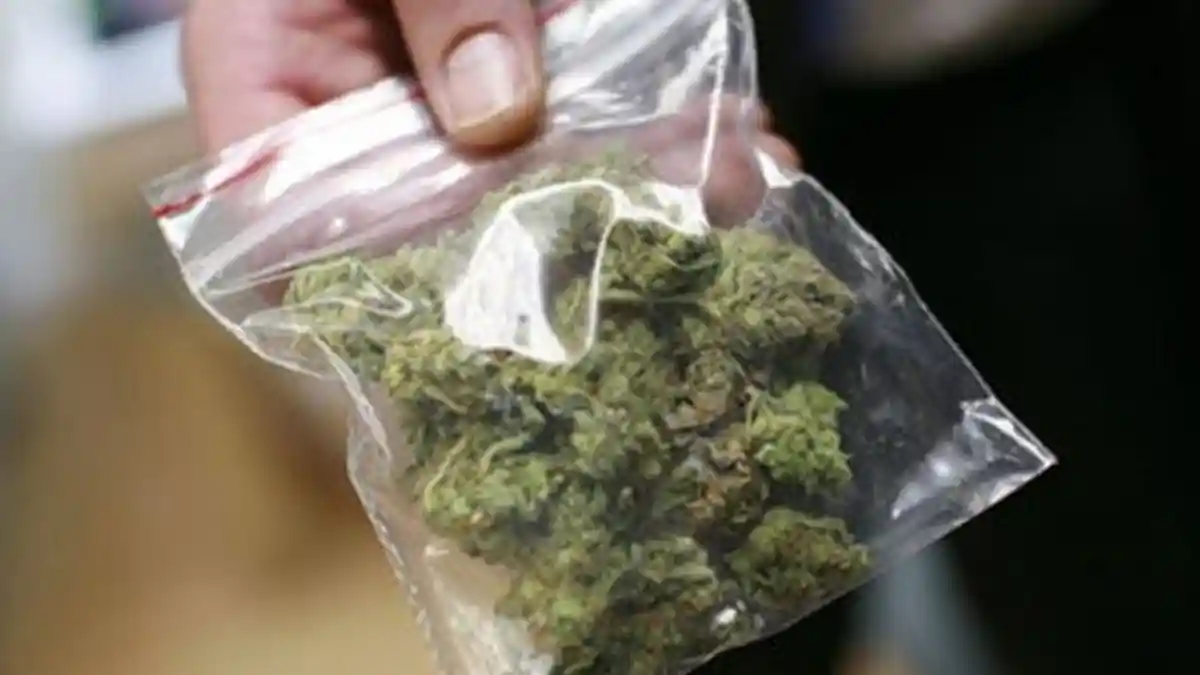 BREAKING NEWS: 2 Mahasiswa Makassar Ditangkap Usai Terima Paket Kue Cookies Campur Ganja