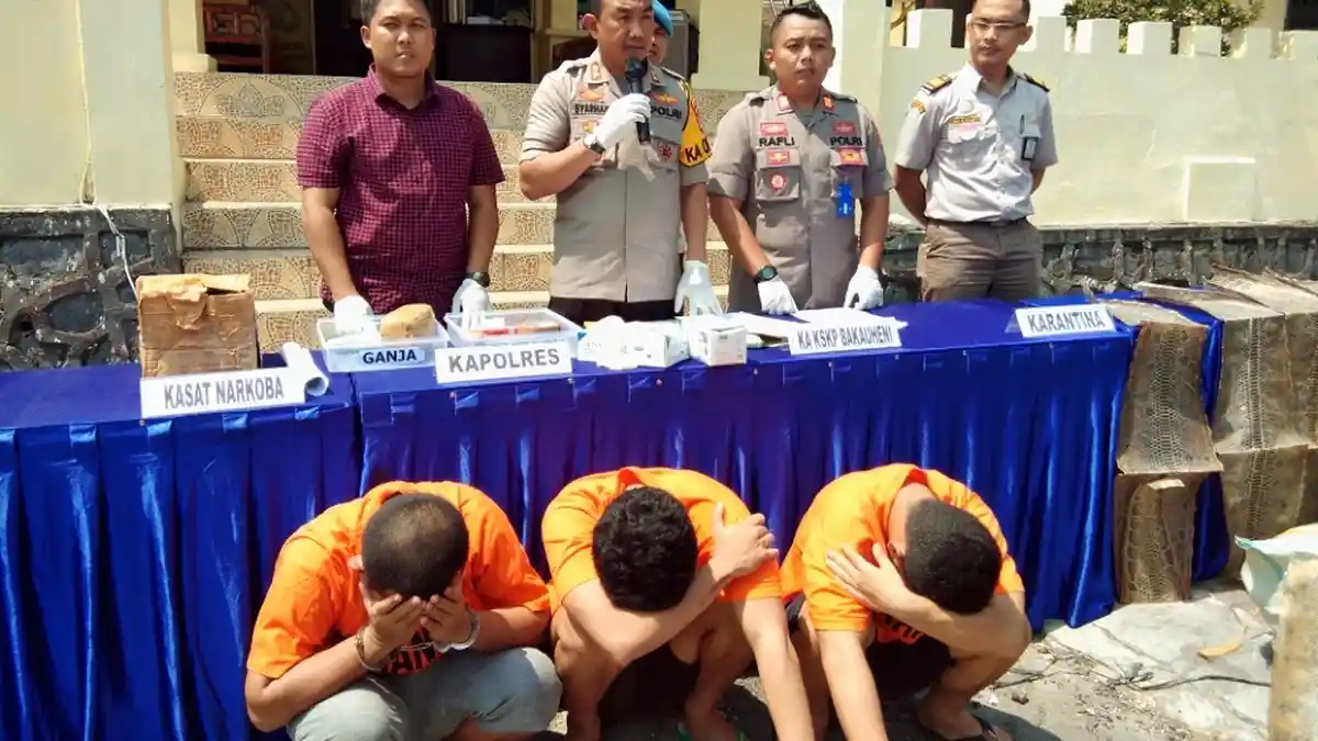 Polres Lampung Selatan Gagalkan Pengiriman Paket Ganja 92 Kg