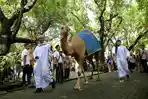 pemkot-gelar-seleksi-dirut-kbs.jpg
