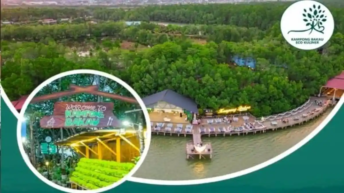 Kampong Bakau Kendari Sultra Lagi Buka Lowongan Kerja 2 Posisi Berbeda, Cara Pendaftaran