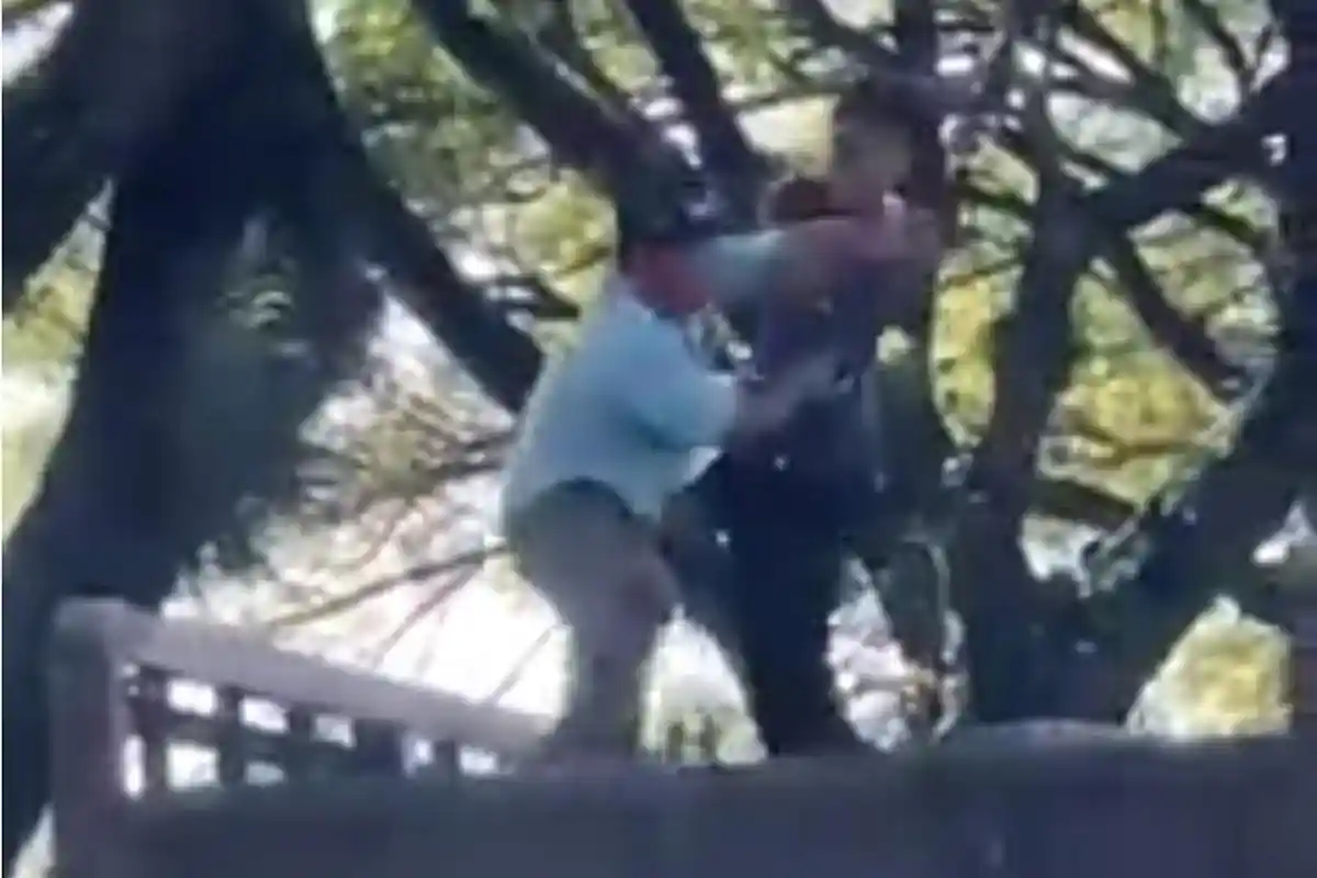 Viral, Sopir Duel dengan Anak Punk di Atas Bak Truk di Jalanan Demak