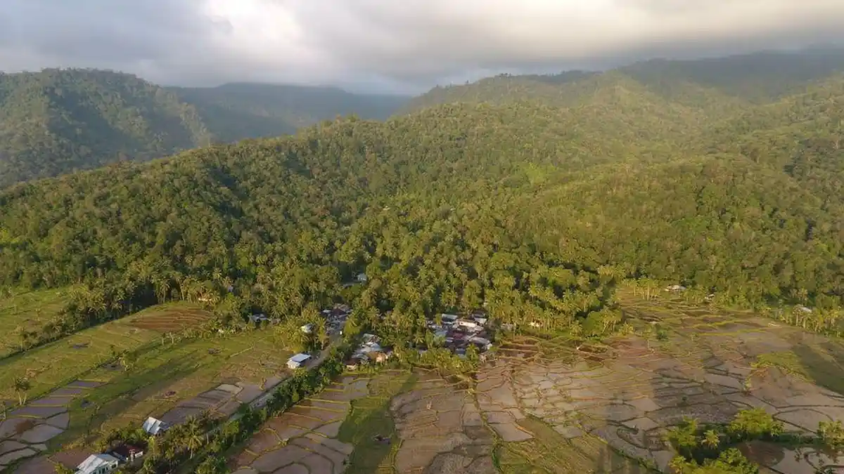 Memaknai Manfaat Hutan Lewat Peringatan Hari Hutan Indonesia 2021  