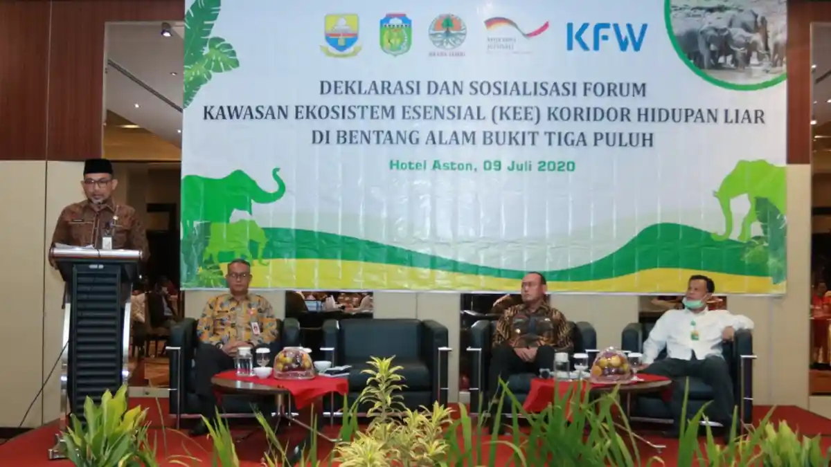 Sudirman: Pemprov Jambi Dukung Konservasi Habitat Gajah Sumatera