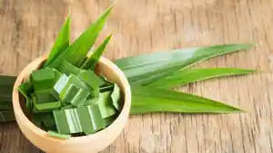 backgroundy-daun-pandan-memiliki-zat-antikanker.jpg
