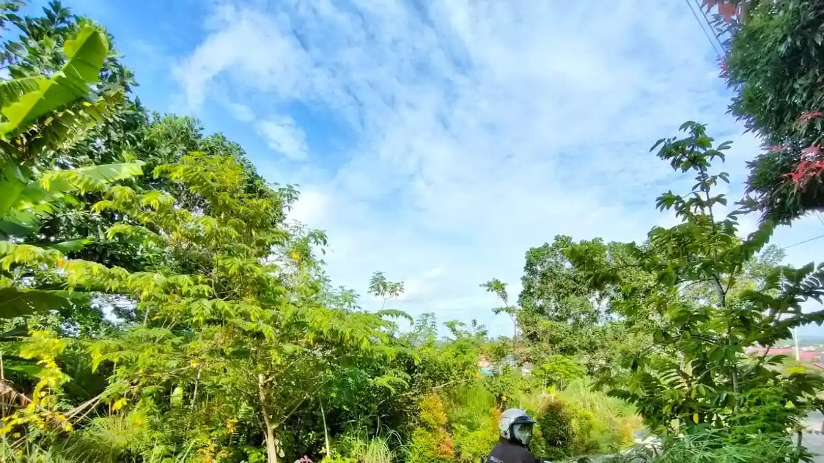 Agenda Penanaman 770 Bibit Pohon di Perumahan Daksa Balikpapan