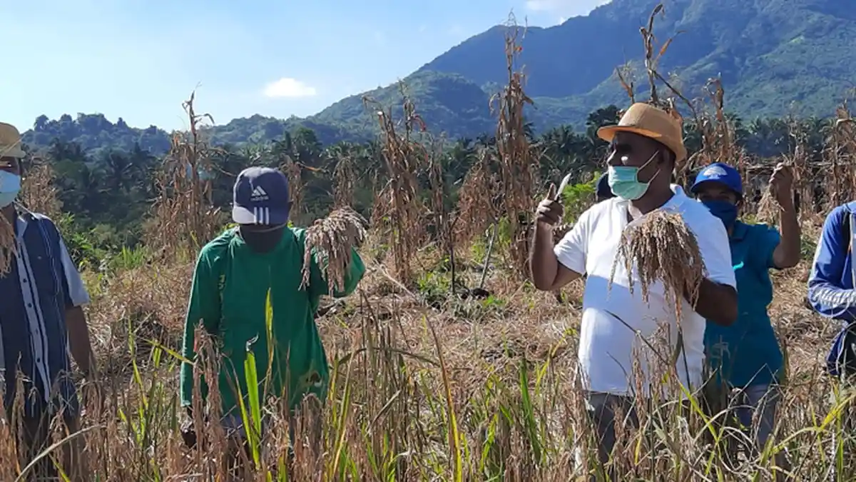Inilah Simbol Berdamai Warga Wailolong dan Bantala di Flores Timur