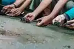 Pelepasan Tukik Lekang