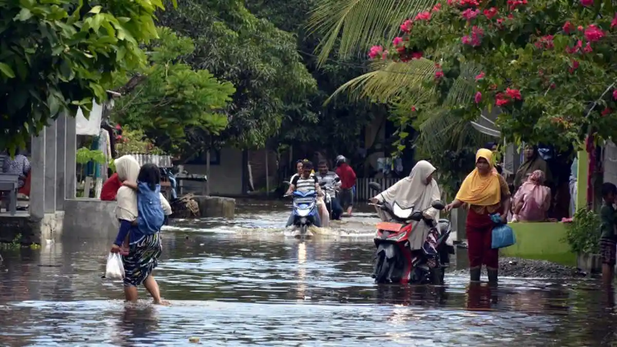 Luapan Air Krueng Meurebo Aceh Barat Mulai Rendam Puluhan Rumah dan Badan Jalan di Pasie Mesjid