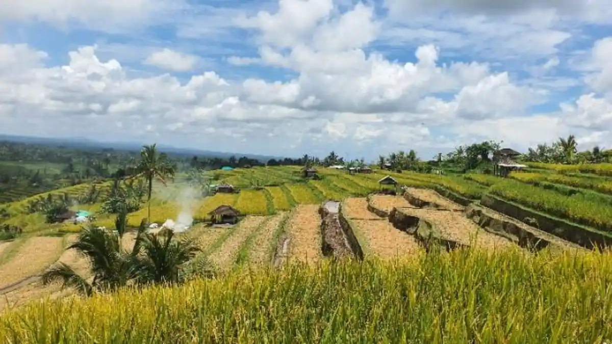Aduan Masyarakat Terkait Helipad di Jatiluwih, Pansus TRAP Beri Catatan