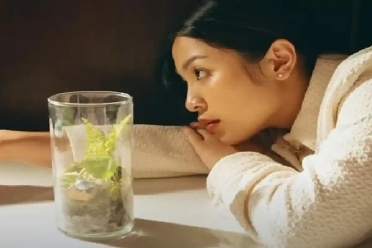 Chord Kunci Gitar Bernadya, Sinyal-sinyal : Memang Tak Boleh Terlalu Tinggi