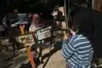 Relawan Kampanye Penyelamatan Harimau Sumatera