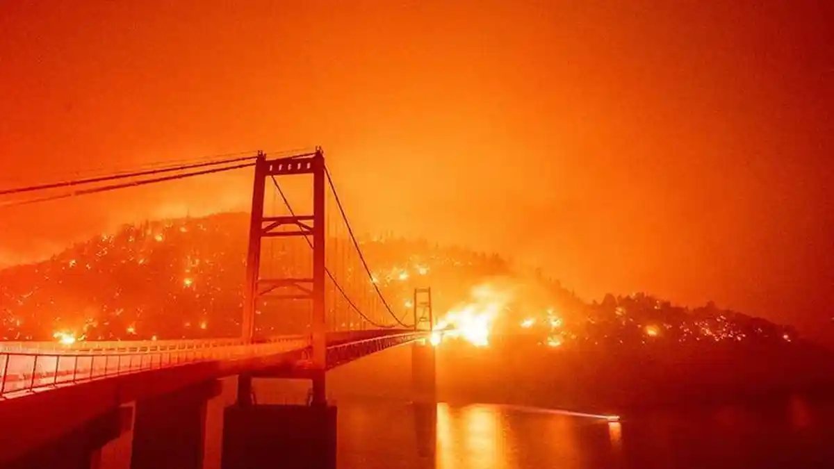 Ini Deretan Kasus Kebakaran Hutan Terbesar di AS Sejak 1990, California 2020 yang Terparah