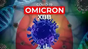 waspada-covid-xbb-varian-baru-omicron-yang-cepat-menular-virus-yang-bisa-melawan-antibodi-vaksin.jpg