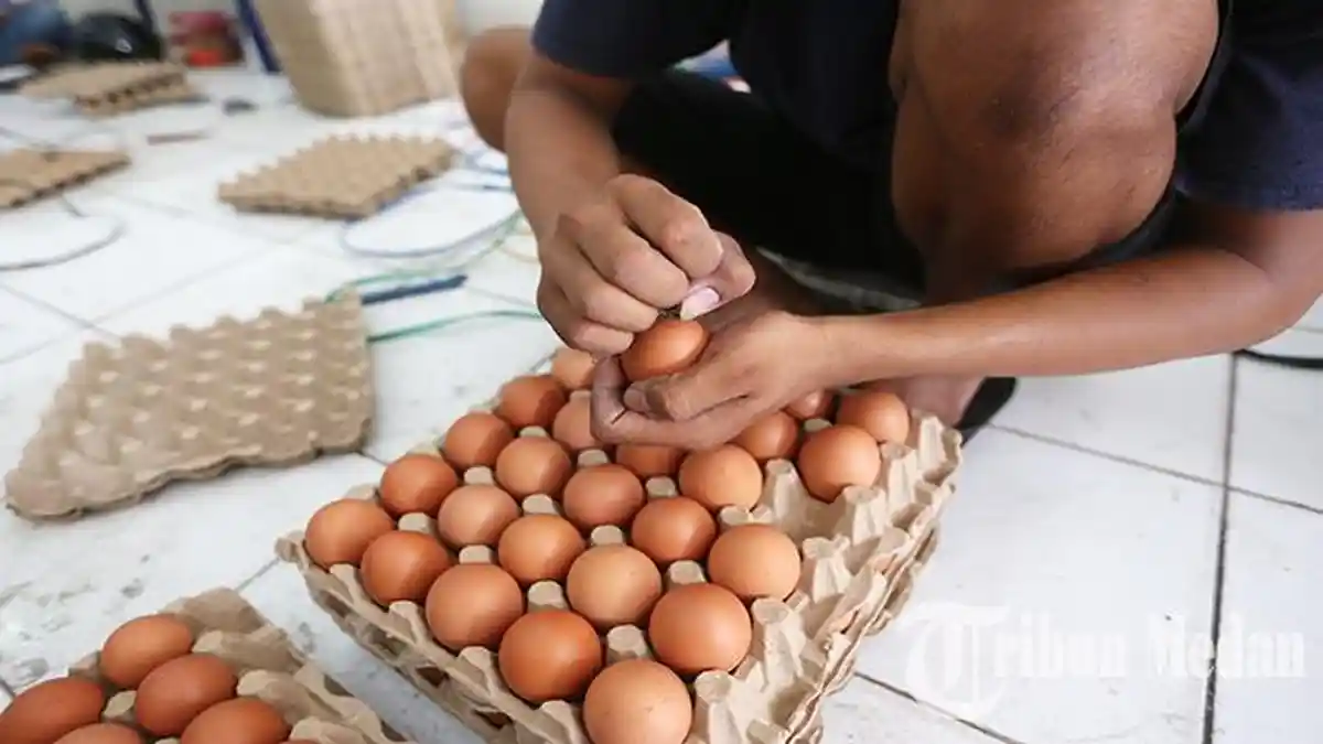 Berita Foto: Omzet Penjualan Pedagang Merosot Hingga 50 Persen, Harga Telur Melonjak - 01062023_KENAIAKAN-HARGA-TELUR_ABDAN-SYAKURO-10.jpg
