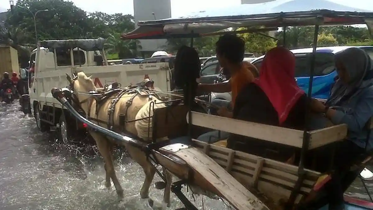 Banjir di Kawasan Elite, Naik Delman Bayar Rp 100 Ribu