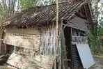 rumah-janda-miskin-di-lembata.jpg