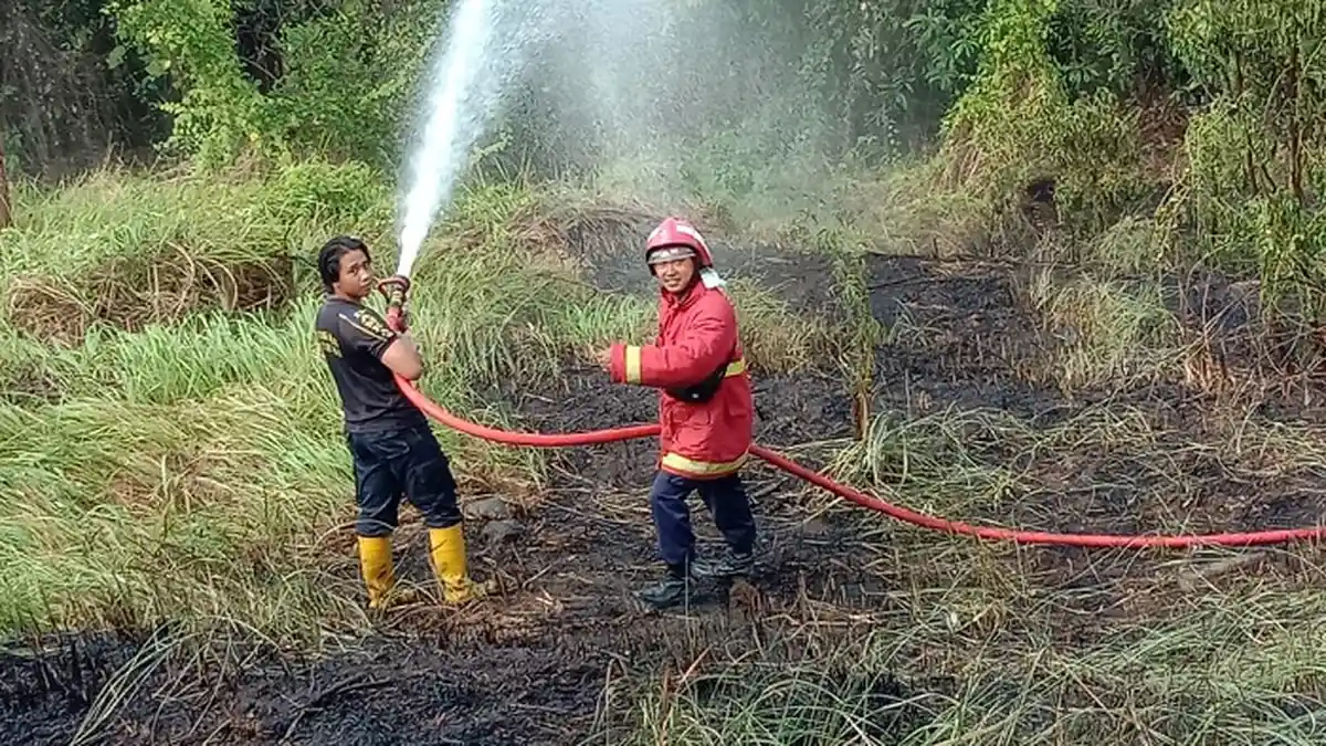 Kebakaran Lahan Tidak Jauh dari Pemukiman Warga, Api Hanguskan Lahan Alang-Alang