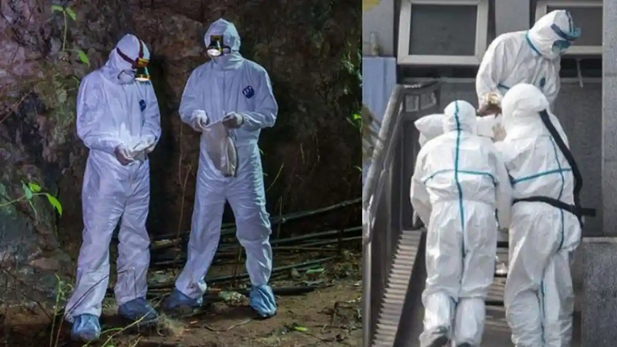 Terkuaknya Kronologi Awal Virus Corona Tersebar, Ruang Lab ‘Tersembunyi’ China, Senator AS: Muka Dua