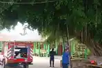 Pelajar dan Guru di MAN 1 Ogan Ilir Resah, ada Sarang Tawon Vespa di Lingkungan Sekolah