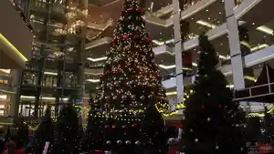 pohon-natal-raksasa-di-mall-taman-anggrek-jakarta_20201222_134254.jpg