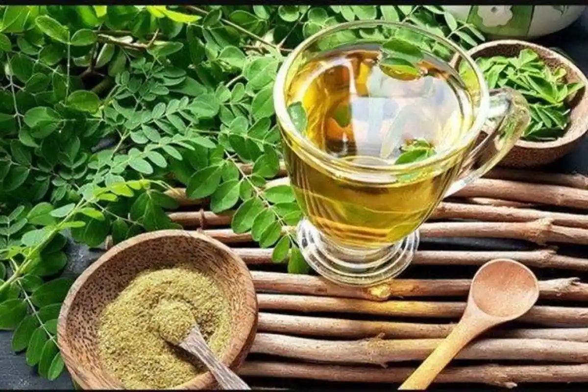 Manfaat Daun Kelor untuk Menurunkan Kolesterol dan Mengurangi Risiko Serangan Jantung