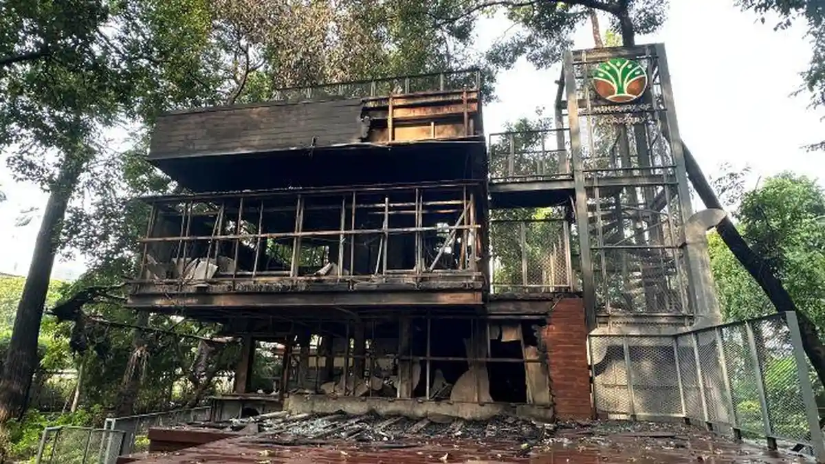 Kafe di Lingkungan Kemenhut RI Ikut Jadi Sasaran Pembakaran Massa