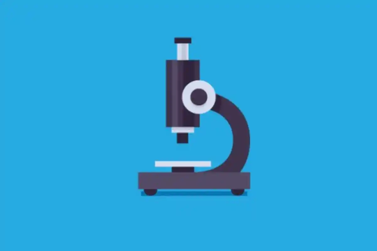 KUNCI JAWABAN Biologi Kelas 11 SMA Halaman 10 Kurikulum Merdeka, Bagian-bagian Mikroskop & Fungsinya