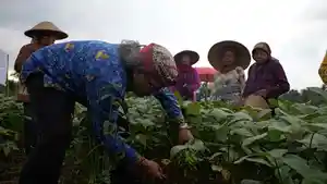 20260427_TEMANGGUNG-Bupati-Temanggung-Agus-Setyawan.jpg