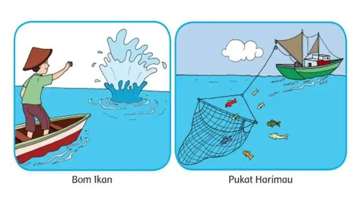 Jawaban Buatlah Daftar hal Penting pada Setiap Paragraf di Dalam Bacaan Kehidupan Nelayan Indonesia
