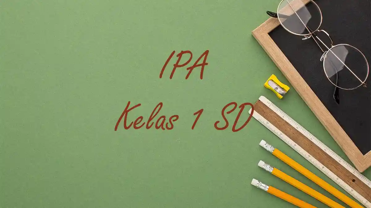 Langit di Sore Hari Akan Tampak Berwarna, 50 Contoh Soal PAT IPA Kelas 1 SD Semester 2