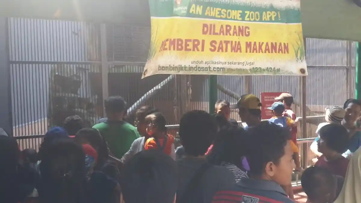 Menyambut Libur Lebaran, Ragunan Siapkan Atraksi Satwa Belah Ketupat