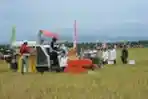 Menteri Pertanian Amran Sulaiman
