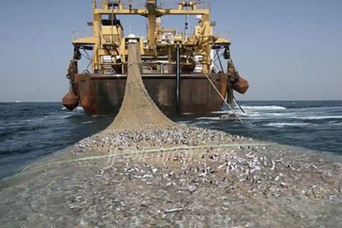 Pukat Trawl Marak di Perairan Langsa, Jika tak Ditertibkan Nelayan akan Bertindak